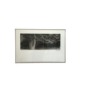 Douglas Busch Original Phograph Signed Negative Collotype Print